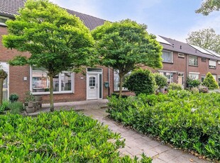 Bellamystraat 62, Terneuzen