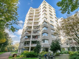 Gouden Leeuw 806, Amsterdam