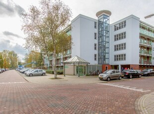 Leverkruidweg 209, Zaandam