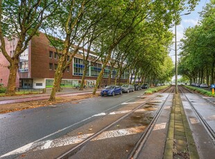 Loudonstraat 84, Den Haag