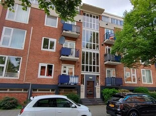 Suiestraat 7C, Rotterdam