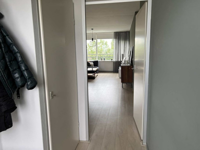 Appartement in Leiden met 4 kamers