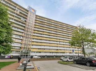 Pharus 211, Zaandam