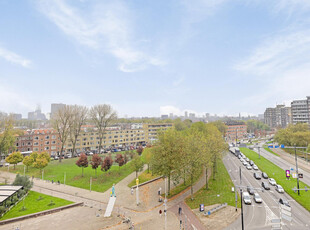 Zuidplein 564