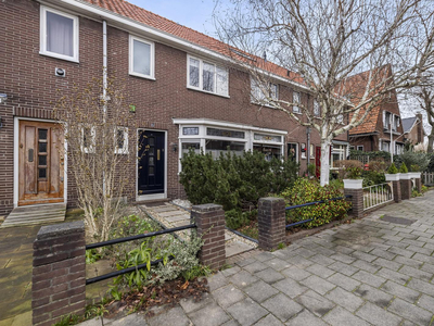 Adolph van Nassaustraat 40