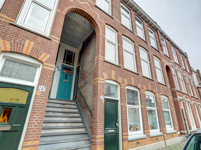 Cartesiusstraat 239