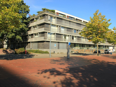 Stadstuinen 83