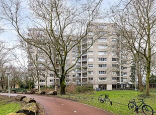 Gouden Leeuw 738, Amsterdam