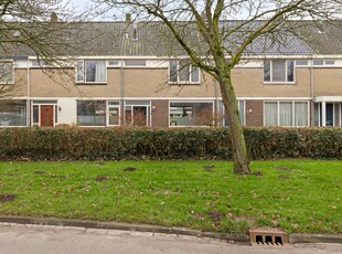 Zeestraat 117