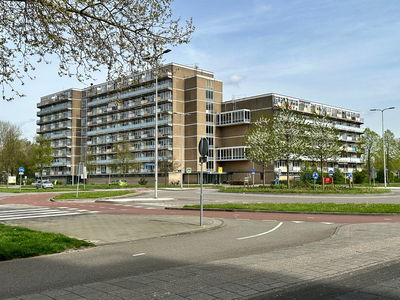 Lupinesingel 456