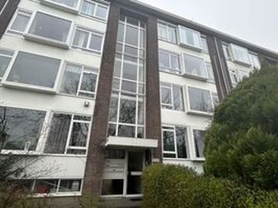 Portiekwoning te huur in Rijswijk