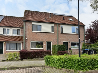 Roerdomp 65