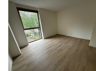 Huur 2 slaapkamer appartement van 55 m² in Eindhoven