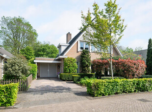 Papiermolen 19