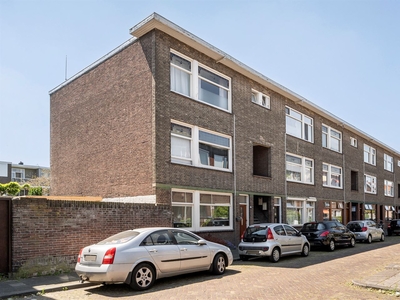 Mr. Troelstrastraat 44