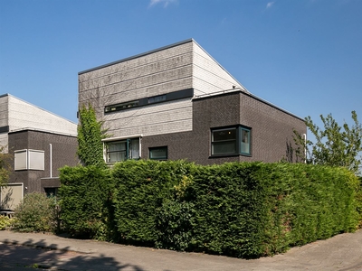 Scholeksterstraat 8