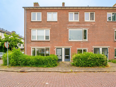 Adriaan van Ostadestraat 13