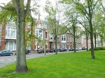 Appartement Stadhouderslaan in Den Haag