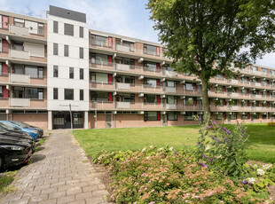 Houtmanstraat 53