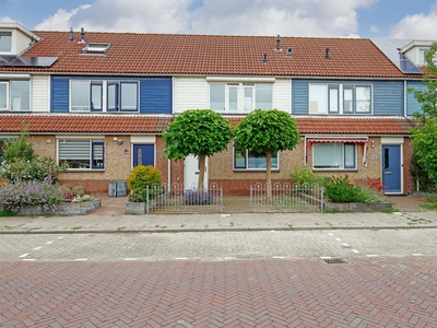 Elise van Calcarstraat 9