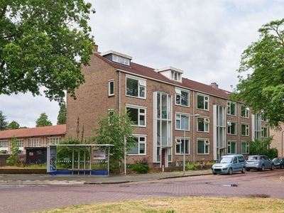 Erfgooiersstraat 237