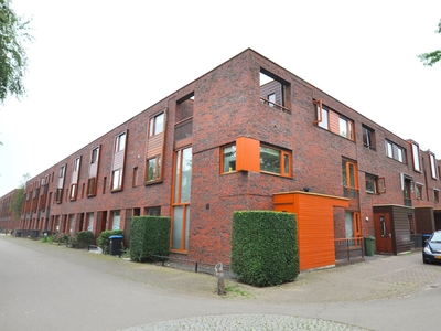 Grasland in Eindhoven (146m2)