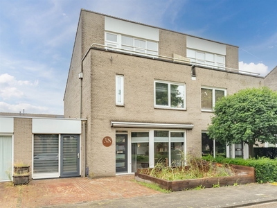 Mies van der Rohestraat 38