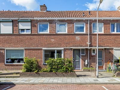 Tulpstraat 13