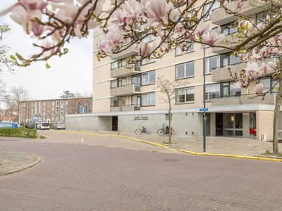 Appartement in Breda met 3 kamers