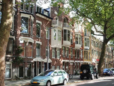 Rodenrijselaan in Rotterdam (20m2)