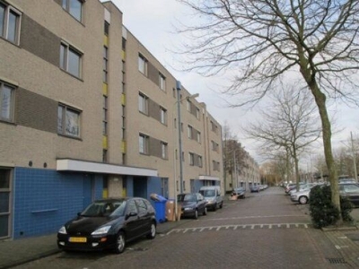 Afrikalaan in Delft (95m2)