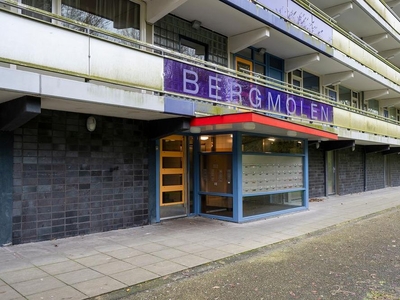 Bergmolen in Amsterdam (82m2)