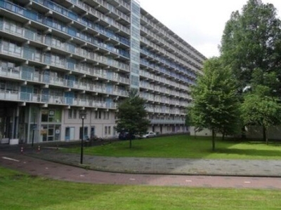 Hogevecht in Amsterdam (92m2)