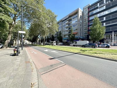 Johan de Wittstraat in Dordrecht (83m2)