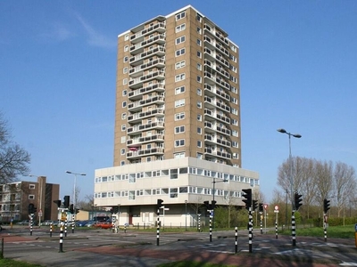 Professor Van der Scheerstraat in Haarlem (107m2)