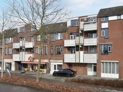 Stuifzwam in Alphen Aan Den Rijn (63m2)