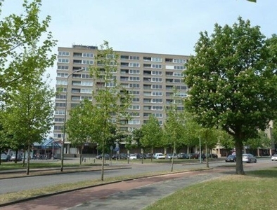 Sweelinckplein in 's-Hertogenbosch (65m2)