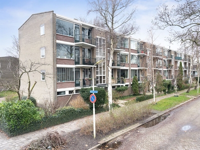 Zwaluwstraat 56