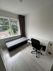 Kamer te huur Boschdijk, Eindhoven