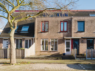 Mandolinestraat 58