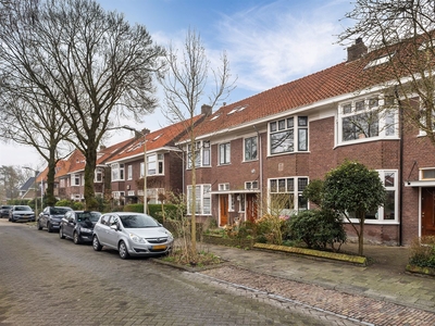 Ibisstraat 13