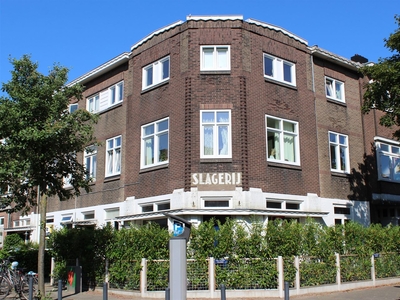 Hugo de Grootstraat 74