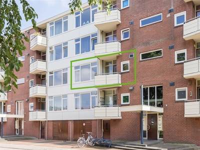 Pieter de Hoochstraat 38