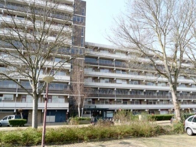 De Brink in 's-Gravenhage (59m2)