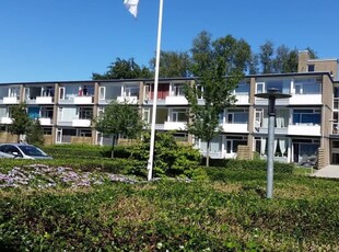 Appartement in Meppel met 2 kamers