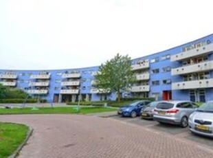 Appartement te huur in Almere