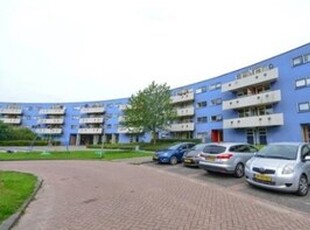 Appartement te huur in Almere