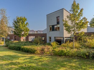 Steenarend 7