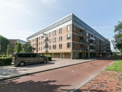 Haardstee in Amsterdam (42m2)