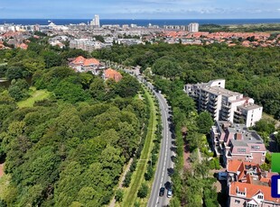 Nieuwe Parklaan 79E, Den Haag